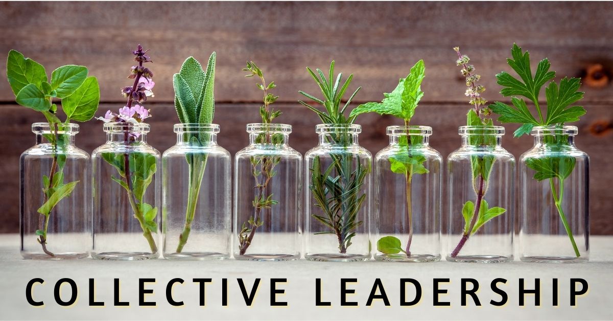 Collective leadership showing plants in jard